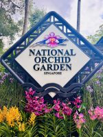 Tag 3 - Orchideen-Garten, Singapur 