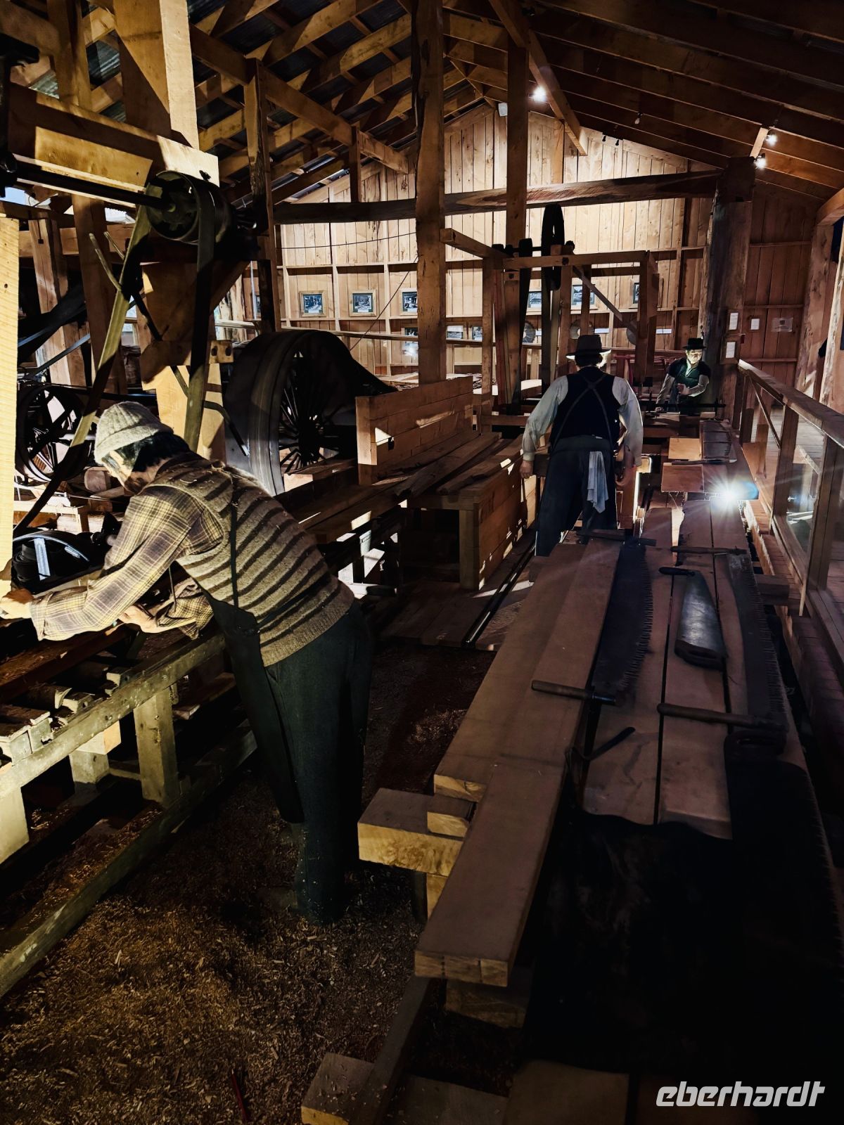 Tag 5 - Kauri Museum