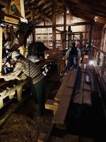 Tag 5 - Kauri Museum