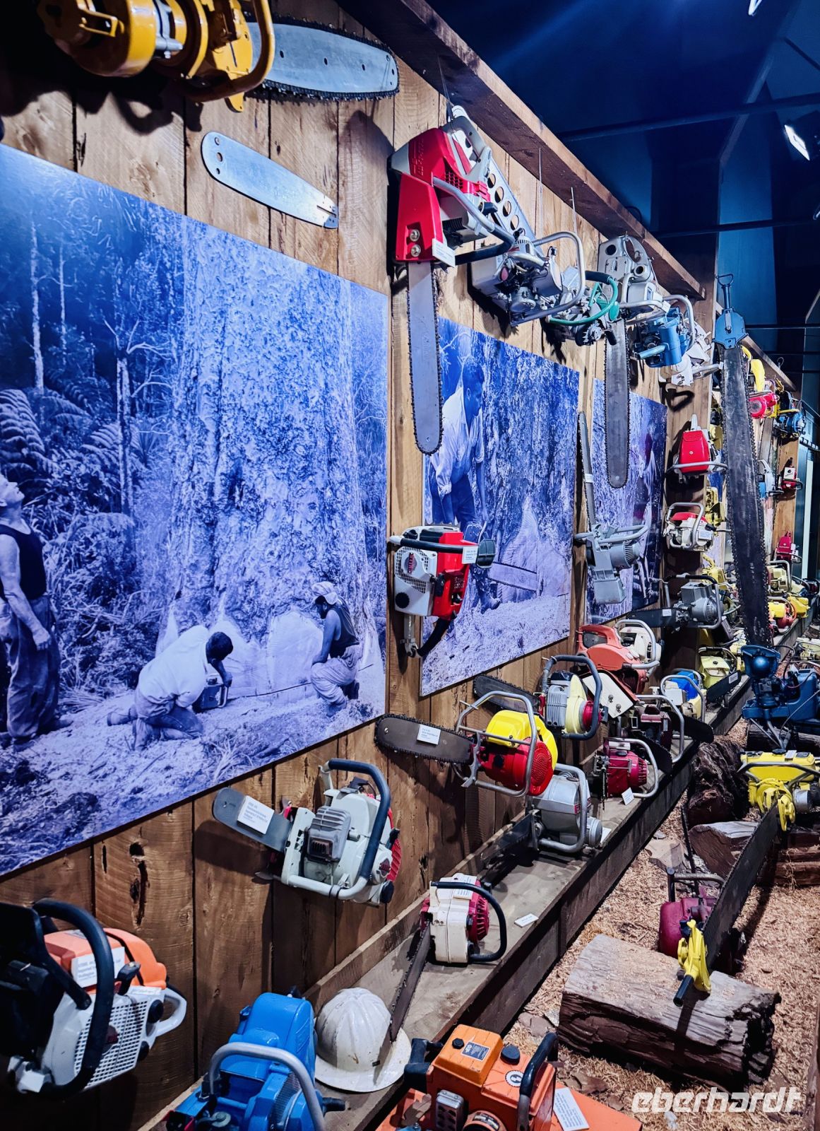 Tag 5 - Kauri Museum