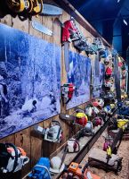 Tag 5 - Kauri Museum