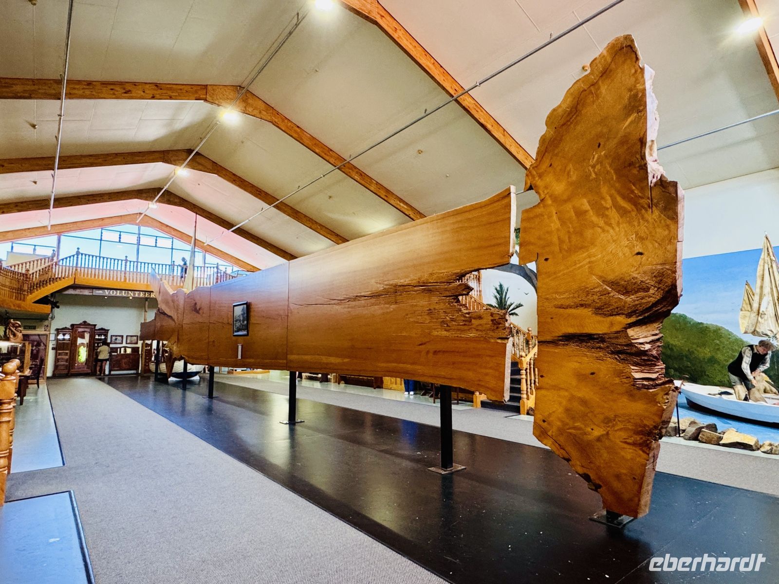 Tag 5 - Kauri Museum