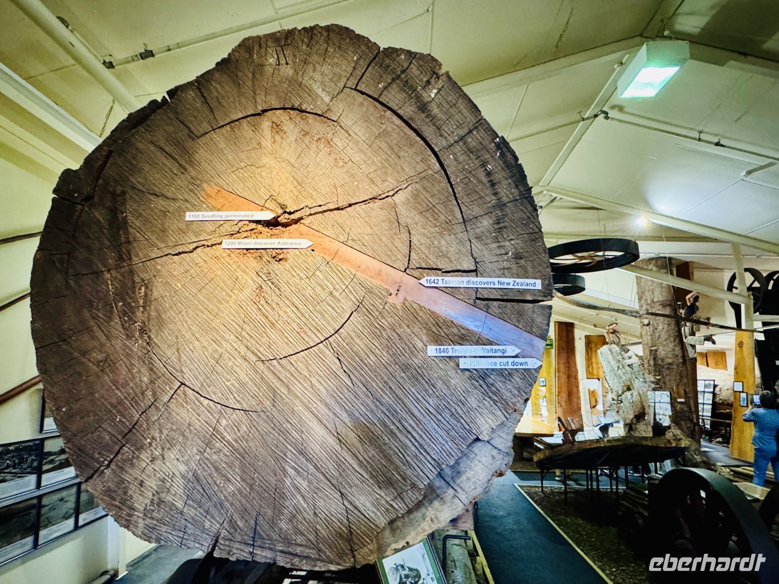 Tag 5 - Kauri Museum