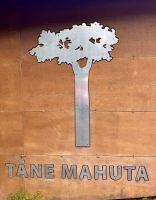Tag 5 - Tane Mahuta