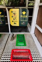 Tag 5 - Schuhputz- und Desinfektionsanlage