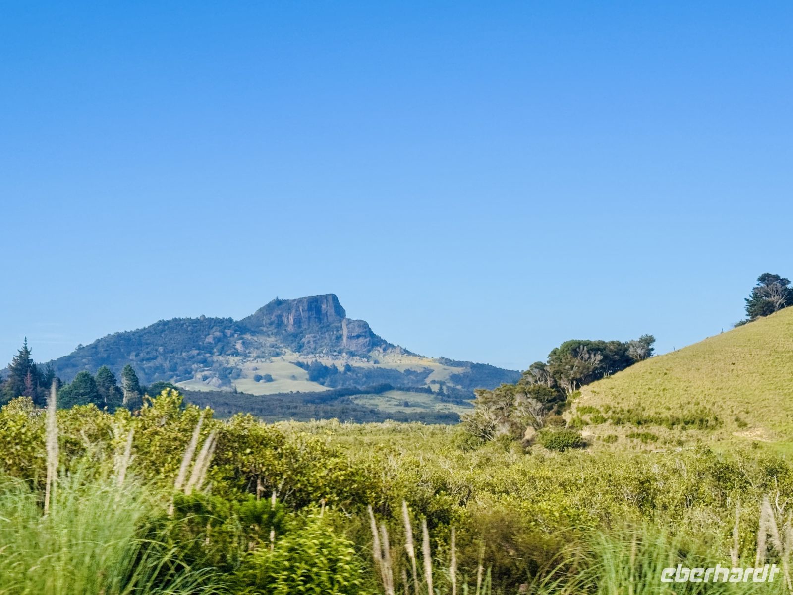 Tag 6 - Auf dem Weg zum Cape Reinga
