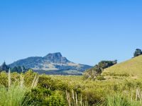 Tag 6 - Auf dem Weg zum Cape Reinga