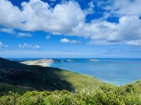 Tag 6 - Cape Reinga 
