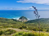 Tag 6 - Cape Reinga 