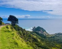Tag 6 - Cape Reinga 