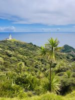 Tag 6 - Cape Reinga 