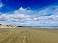 Tag 6 - Ninety Miles Beach