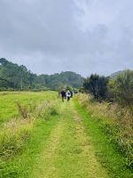 Tag 8 - Wanderung zur Cathedral Cove