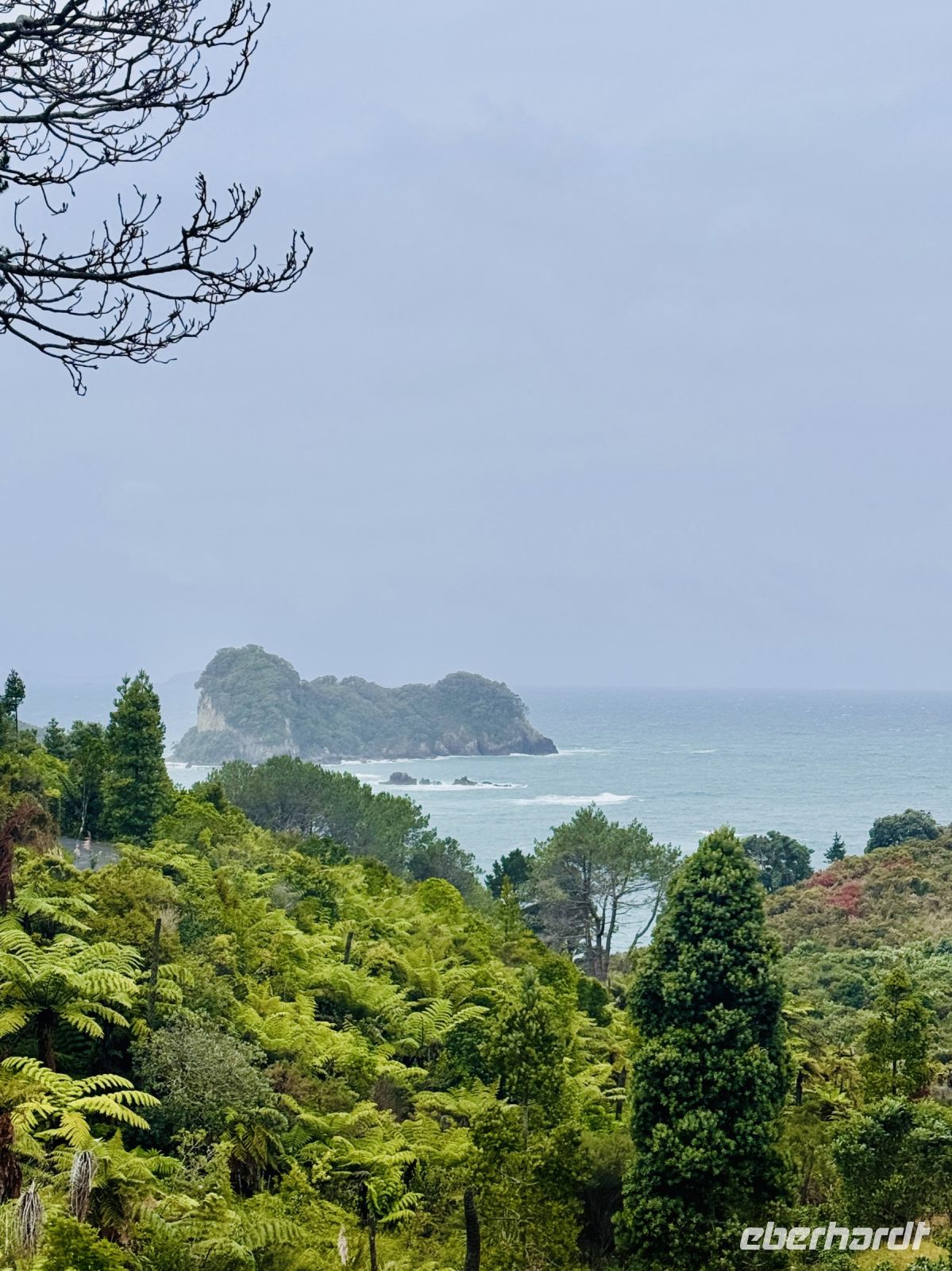Tag 8 - Wanderung zur Cathedral Cove