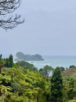 Tag 8 - Wanderung zur Cathedral Cove