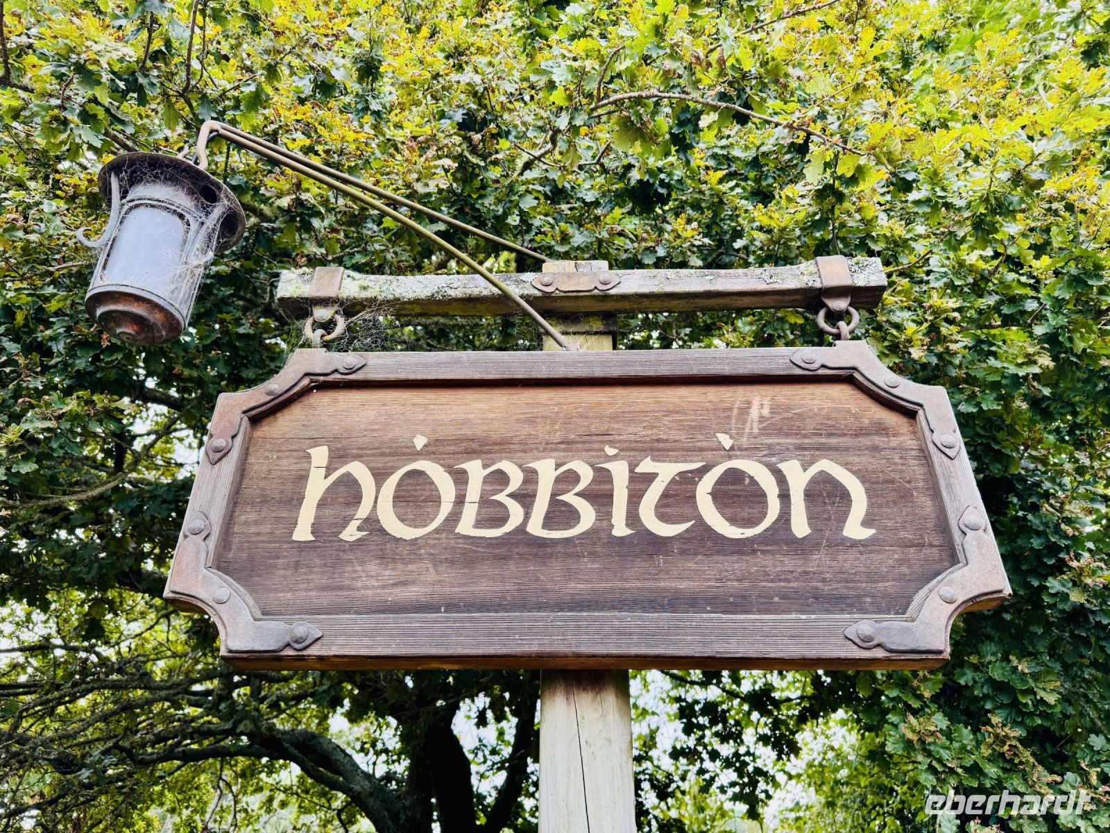 Tag 9 - Hobbiton 