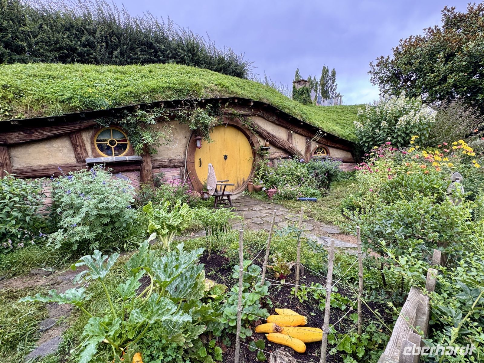 Tag 9 - Hobbiton