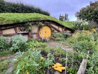 Tag 9 - Hobbiton