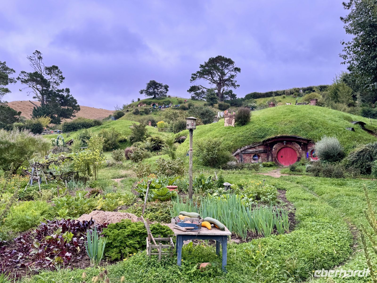 Tag 9 - Hobbiton