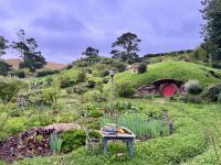 Tag 9 - Hobbiton