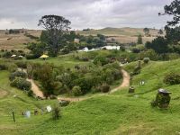 Tag 9 - Hobbiton