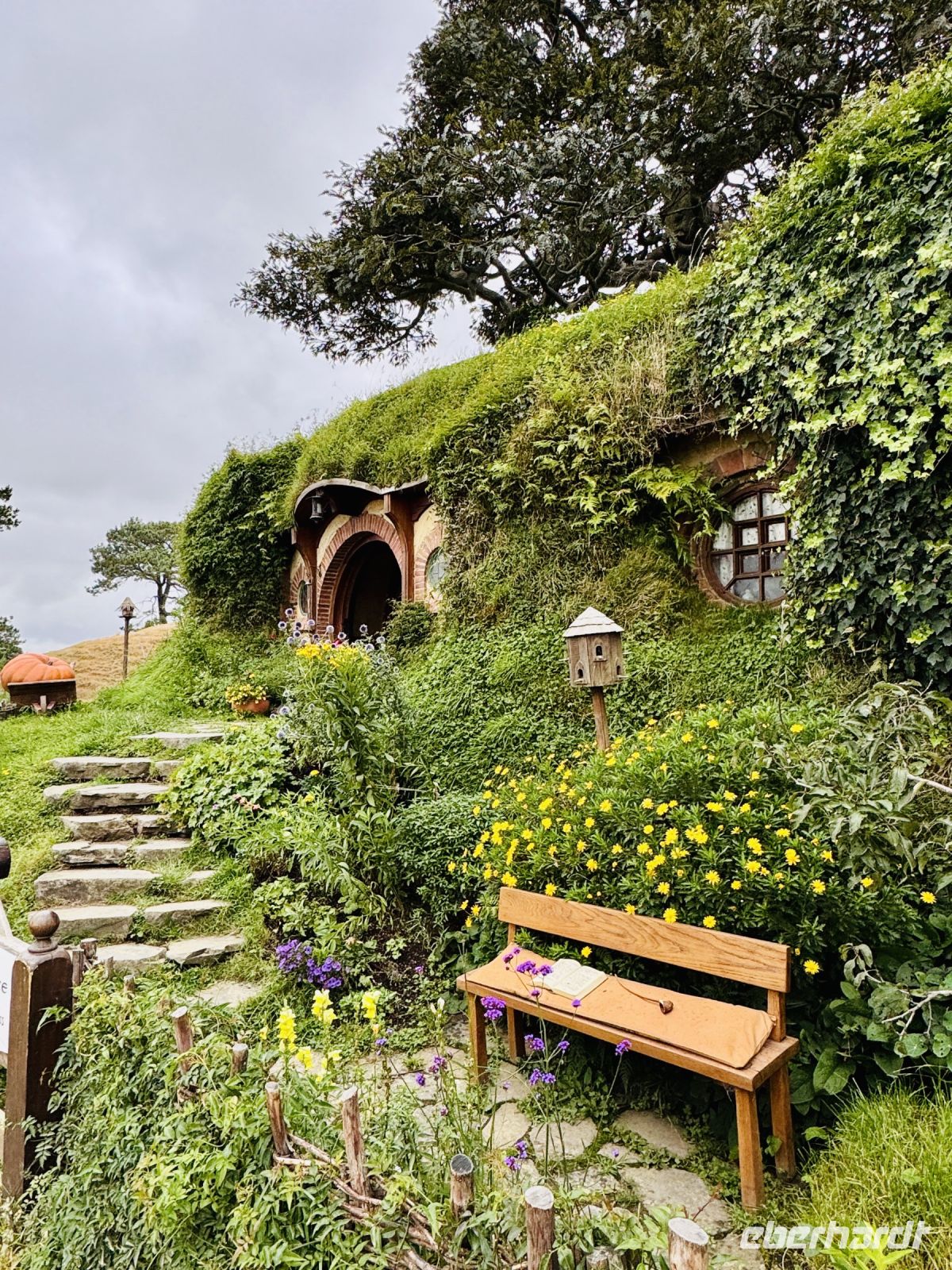 Tag 9 - Hobbiton