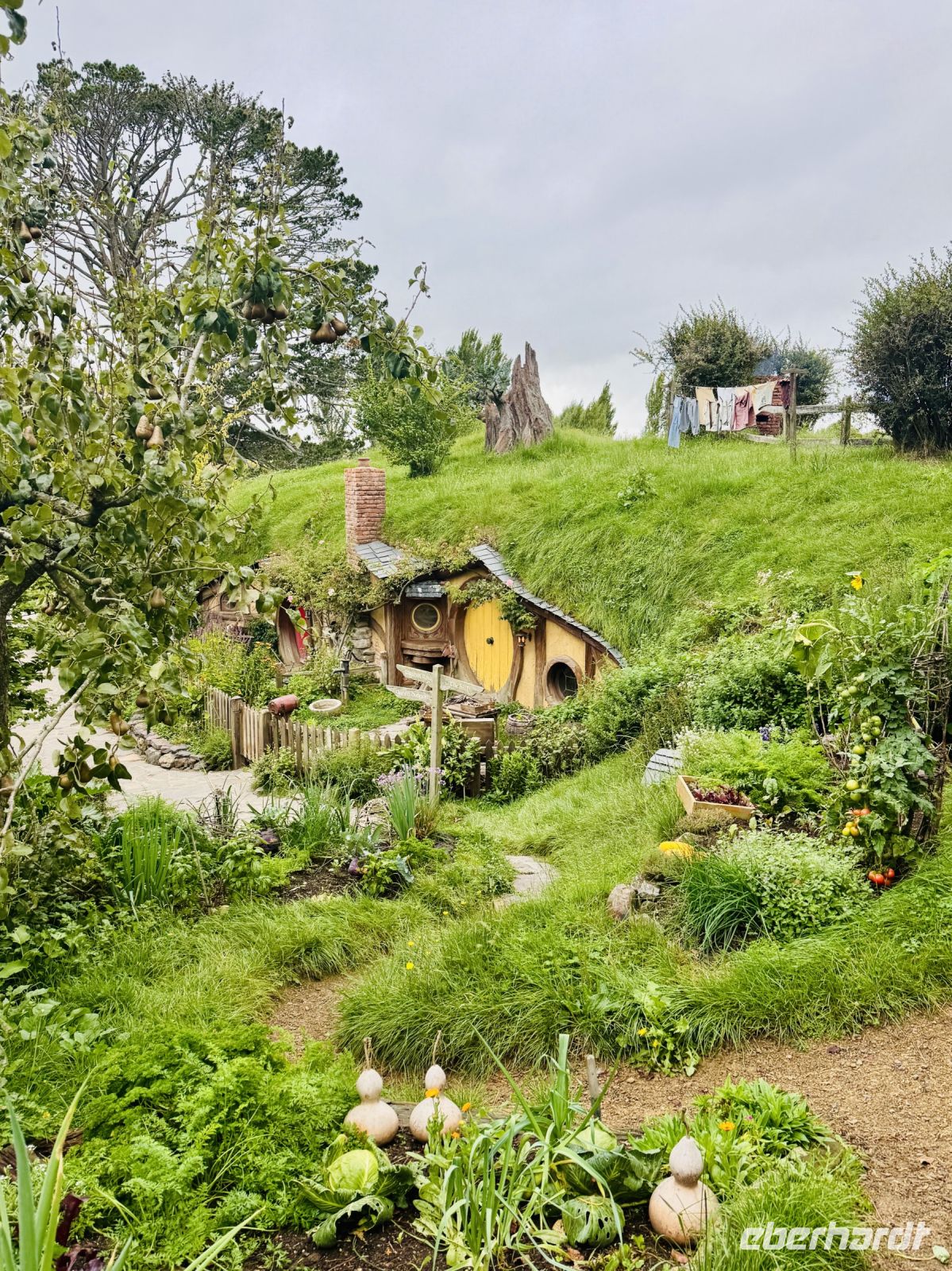 Tag 9 - Hobbiton