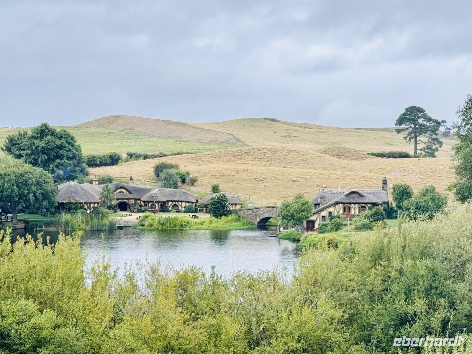 Tag 9 - Hobbiton