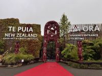 Tag 10 - Park Te Puia