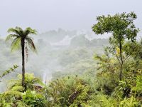 Tag 10 - Geothermalpark Te Puia