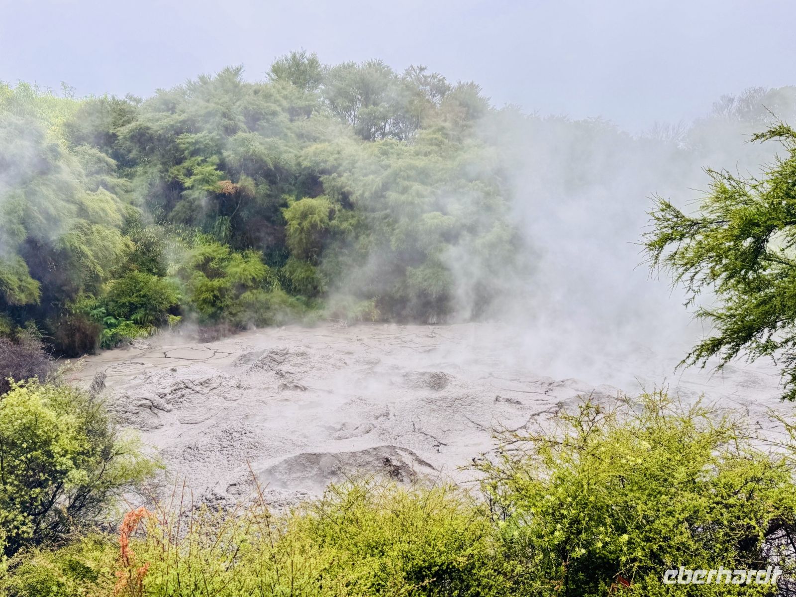 Tag 10 - Kochender Schlammtümpel im Park Te Puia 