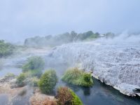 Tag 10 - Pohutu Geysir