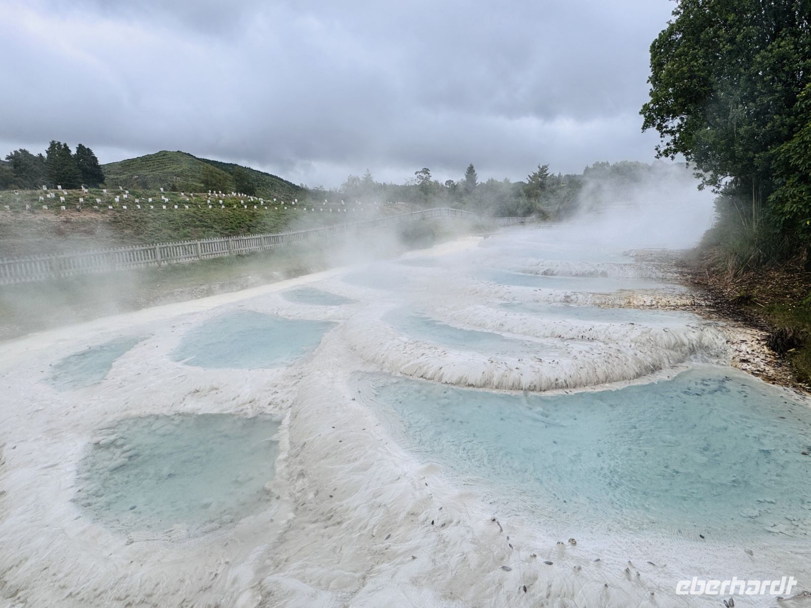 Tag 10 - Wairakei Terrassen 