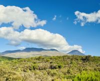 Tag 10 - Vulkane Tongariro und Ngauruhoe
