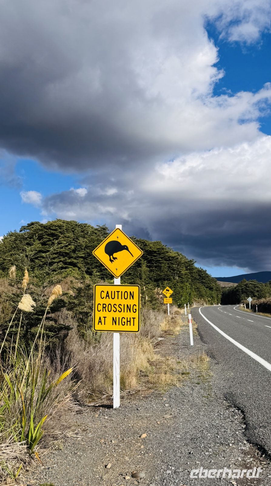 Tag 10 - Kiwi-Straßenschild