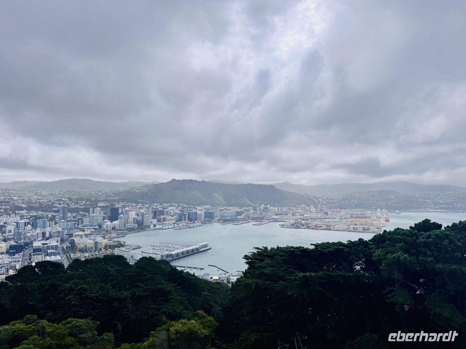 Tag 11 - Blick auf Wellington 