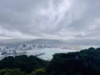 Tag 11 - Blick auf Wellington 