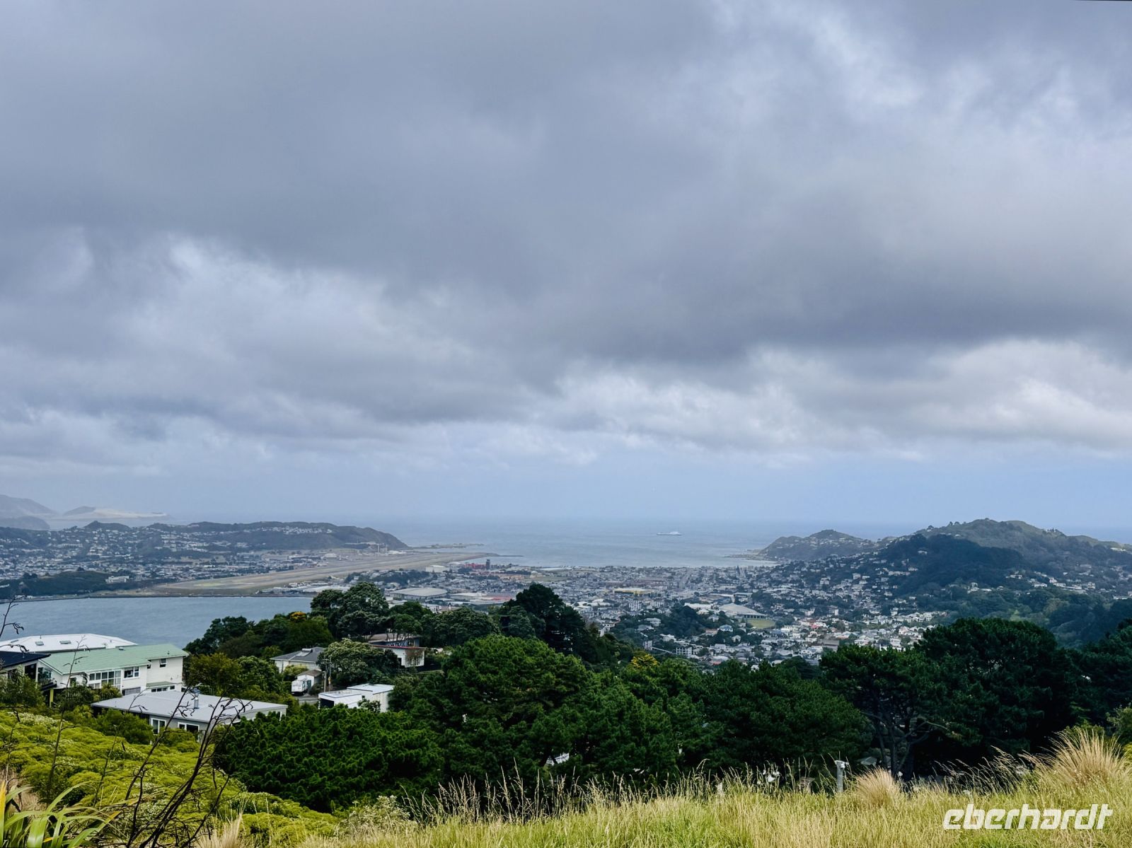 Tag 11 - Blick auf Wellington