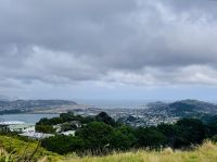 Tag 11 - Blick auf Wellington