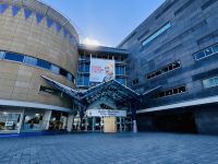 Tag 12 - Te Papa Museum 
