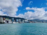 Tag 12 - Wellington 