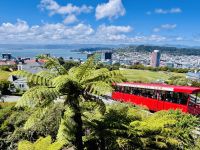 Tag 12 - Cable Car Wellington 