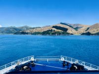 Tag 13 - Fährfahrt auf die Südinsel 