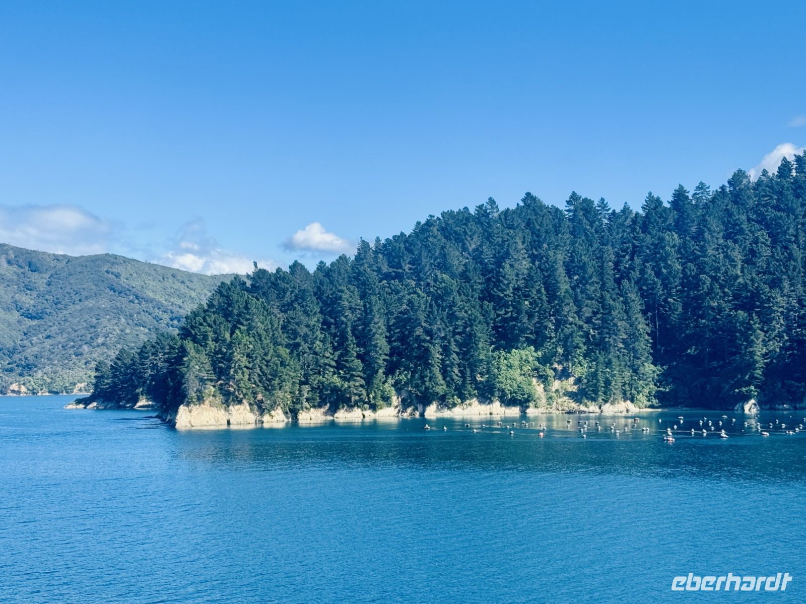 Tag 13 - Fährfahrt auf die Südinsel 