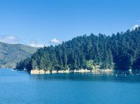 Tag 13 - Fährfahrt auf die Südinsel 