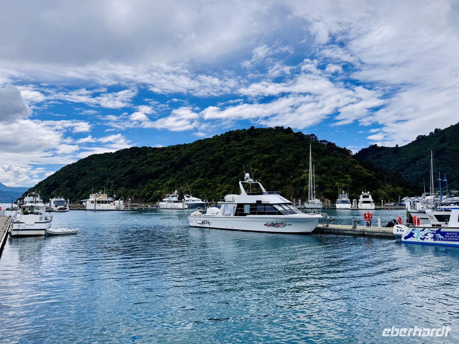 Tag 13 - Yachthafen, Picton