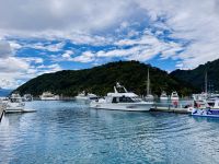 Tag 13 - Yachthafen, Picton