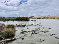 Tag 13 - Lake Elterwater