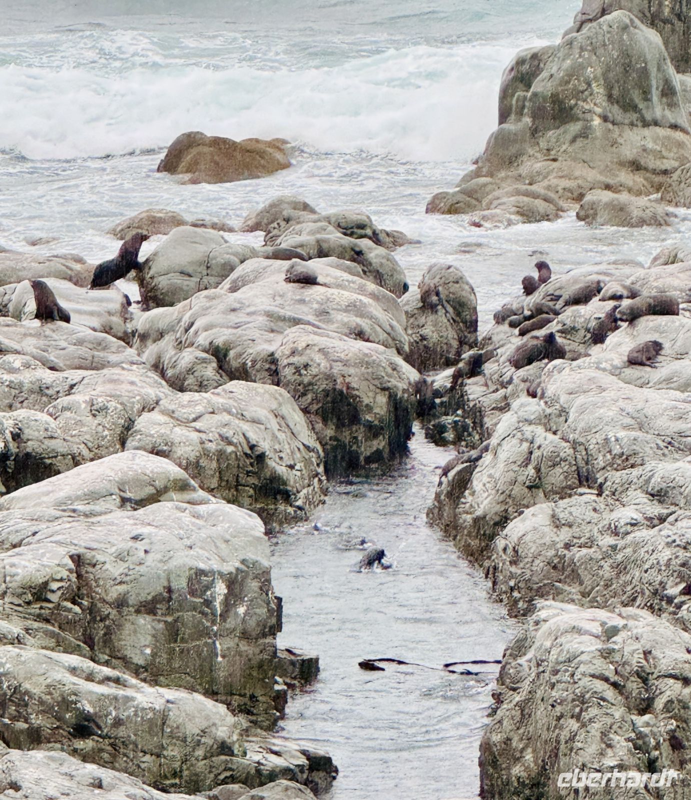 Tag 13 - Pelzeobben am Ohau Point