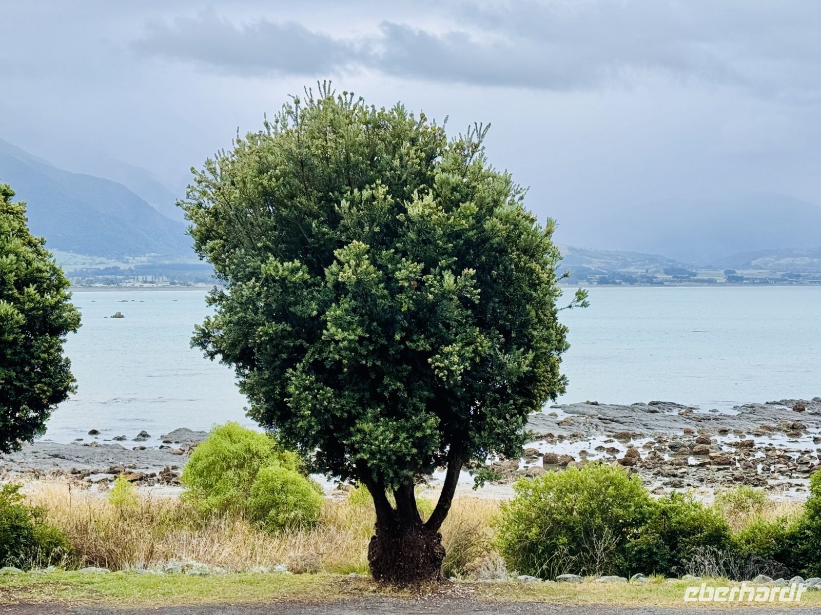 Tag 13 - Blick aufs Meer vom Hotel in Kaikoura